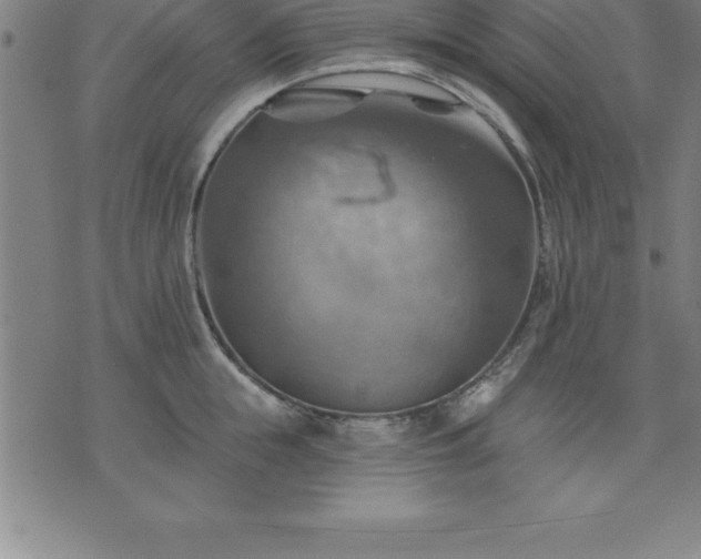 X0000075830855200609221638