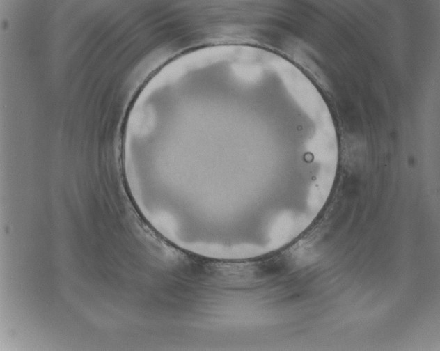 X0000075830856200609221638