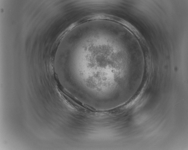 X0000075830857200609221638