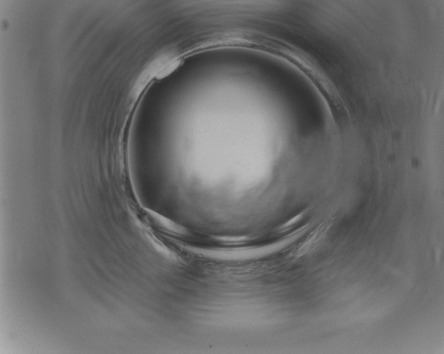 X0000075830858200609221638