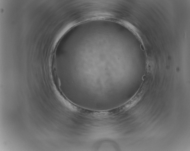 X0000075830859200609221638