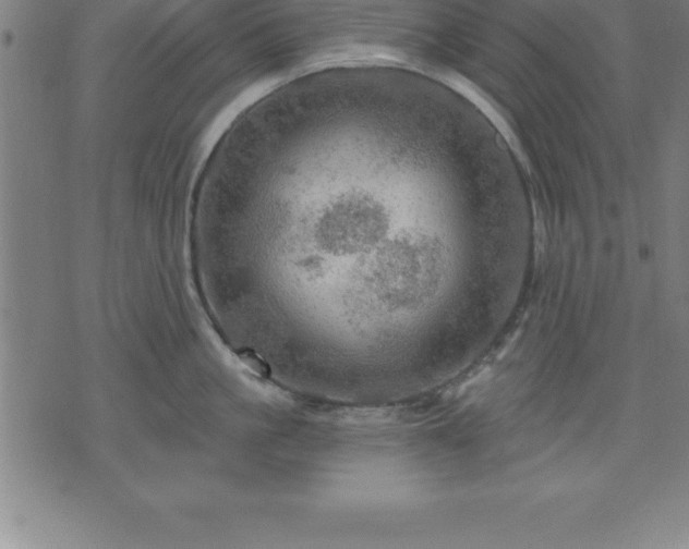 X0000075830861200609221638