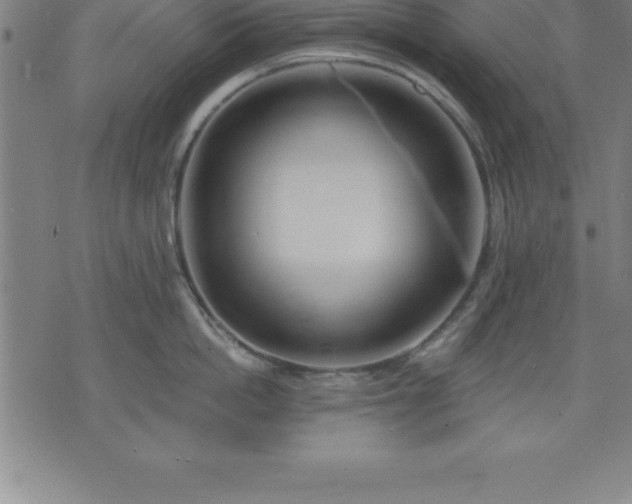 X0000075830862200609221638