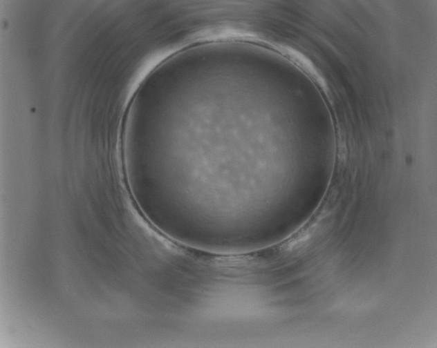 X0000075830863200609221638