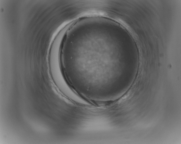 X0000075830864200609221638