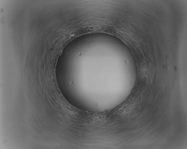 X0000075830865200609221637