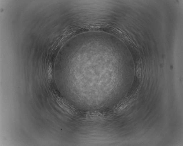 X0000075830866200609221637