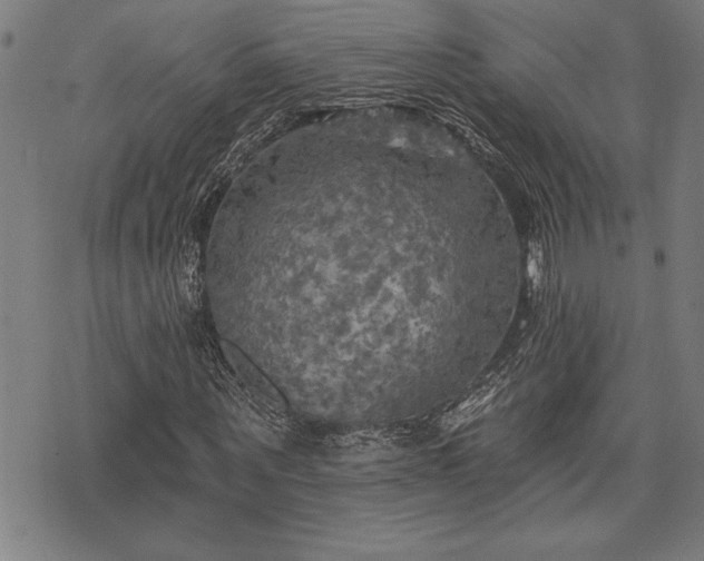 X0000075830867200609221637