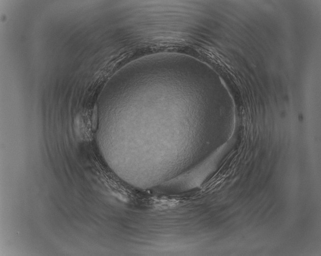 X0000075830868200609221637