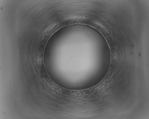 X0000075830869200609221637