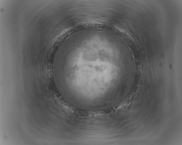 X0000075830870200609221637