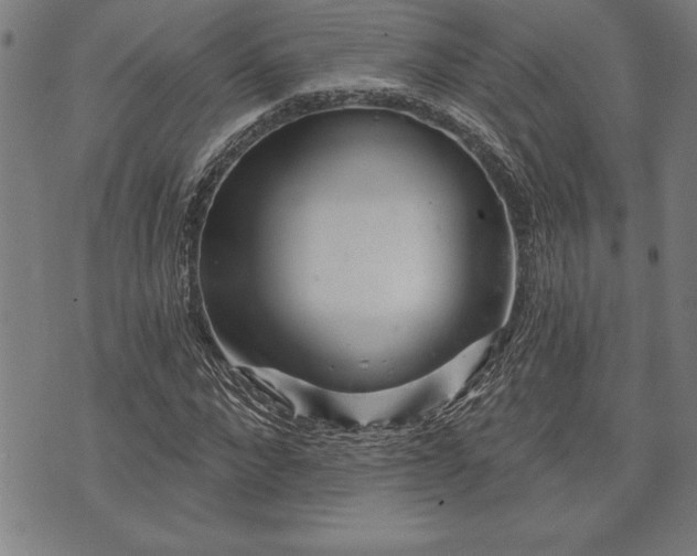 X0000075830872200609221637