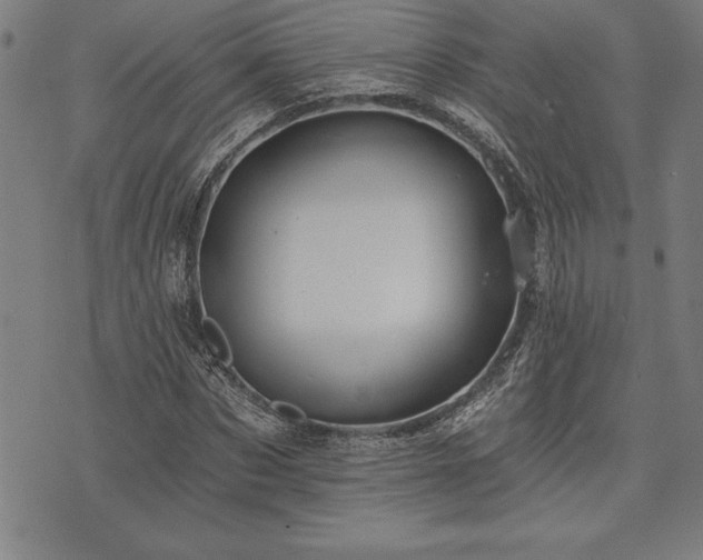 X0000075830873200609221637