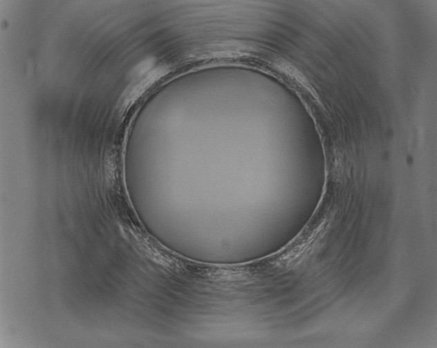 X0000075830874200609221637