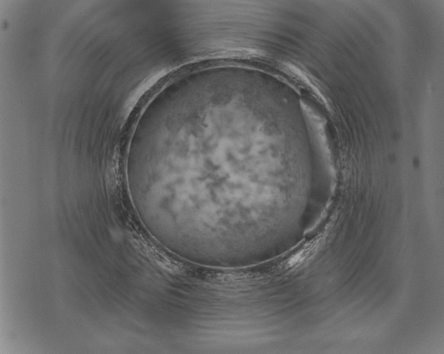 X0000075830875200609221637