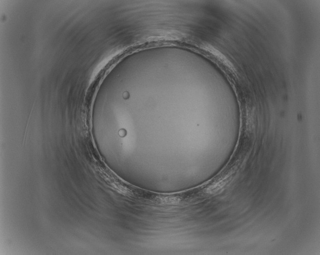 X0000075830878200609221637