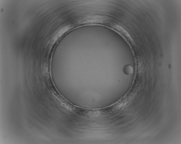 X0000075830882200609221637