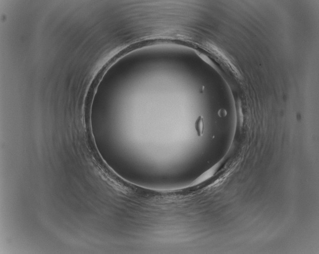 X0000075830884200609221637