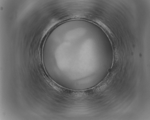 X0000075830886200609221637