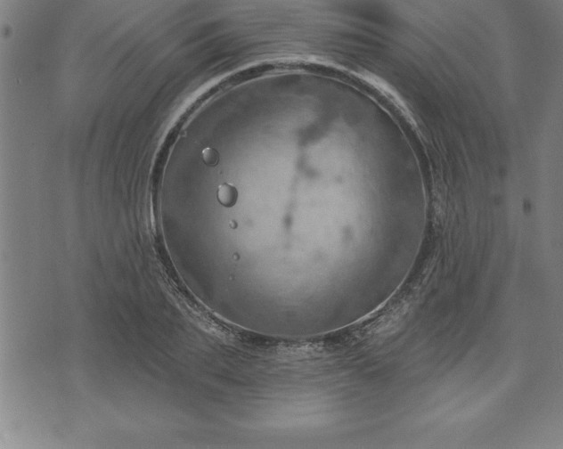 X0000075830887200609221637