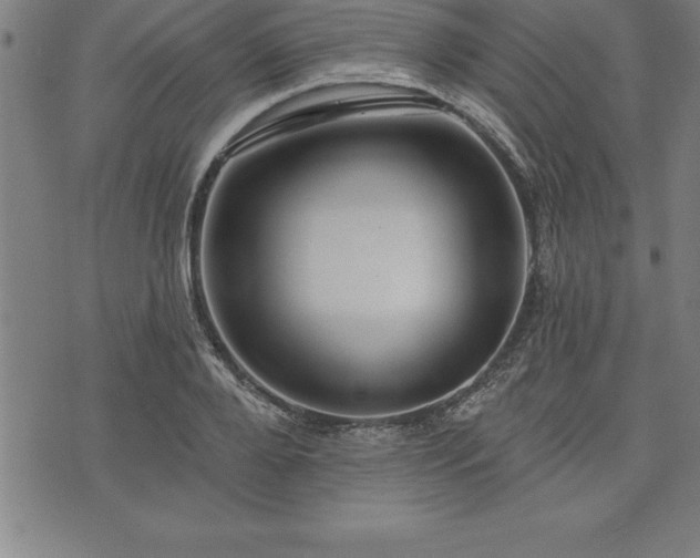 X0000075830888200609221637