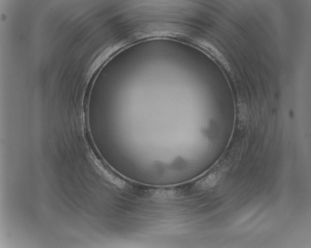 X0000075830890200609221637