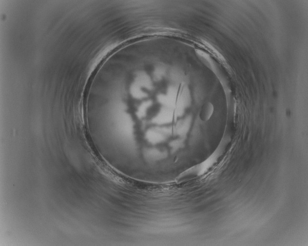 X0000075830891200609221637