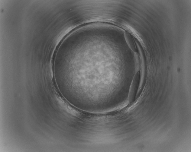 X0000075830892200609221637