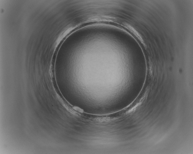 X0000075830893200609221637