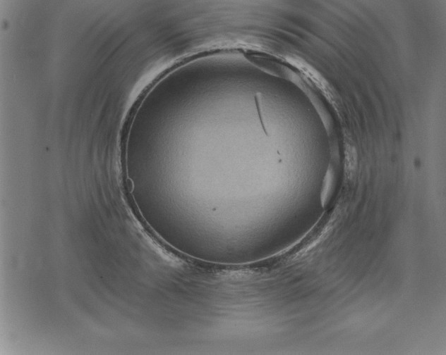 X0000075830894200609221637