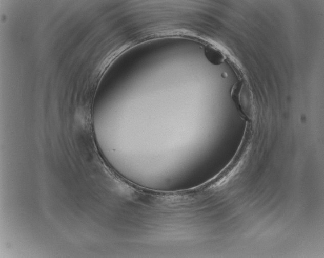 X0000075830897200609221637