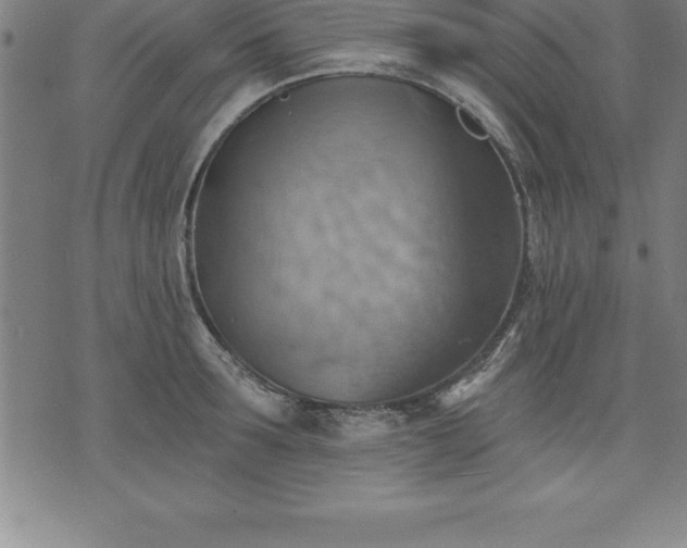 X0000075830899200609221637