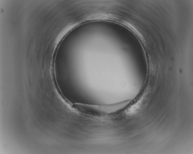 X0000075830901200609221637