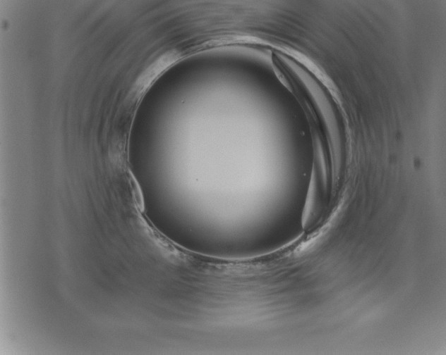 X0000075830905200609221637