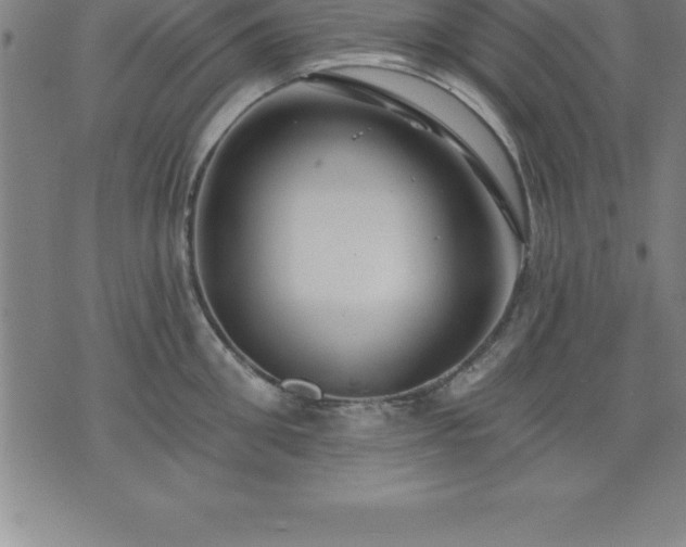 X0000075830906200609221637