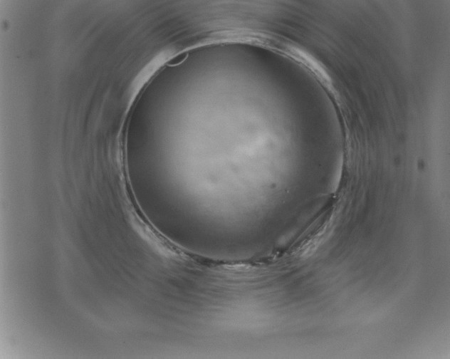 X0000075830907200609221637