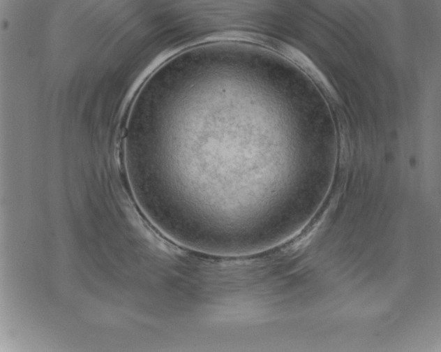 X0000075830908200609221637