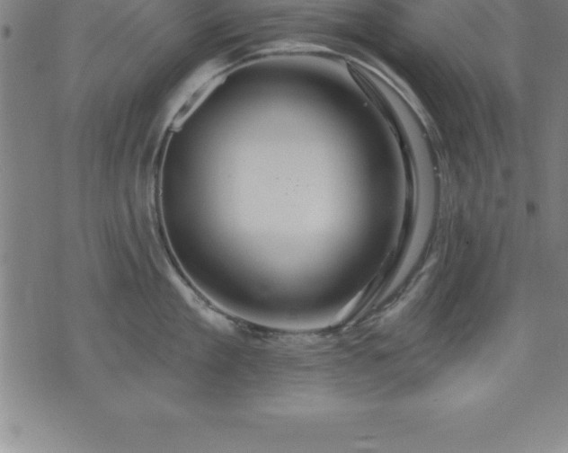 X0000075830909200609221637