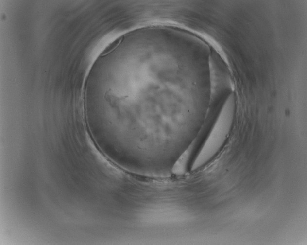 X0000075830911200609221637