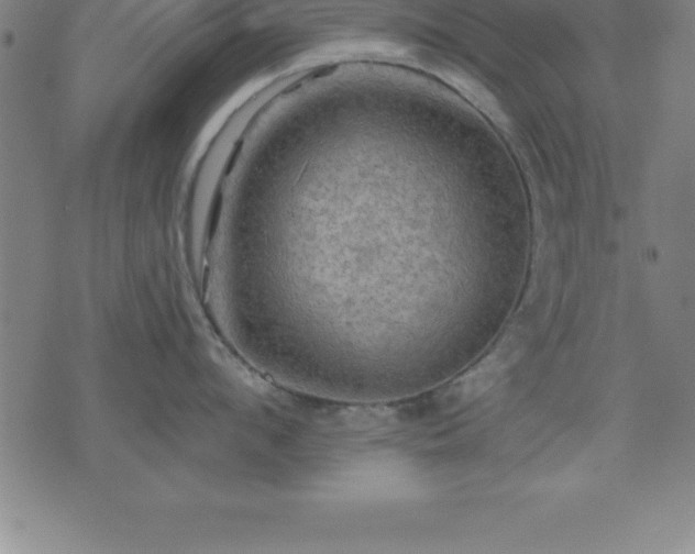 X0000075830912200609221637