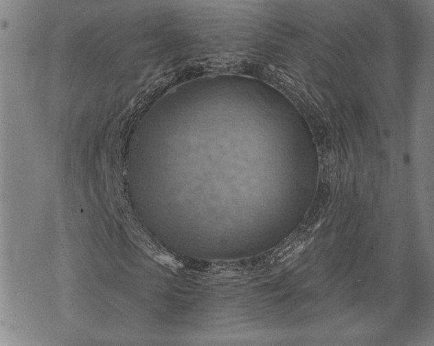 X0000075830913200609221636