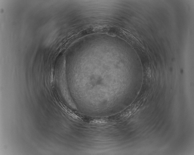 X0000075830914200609221636