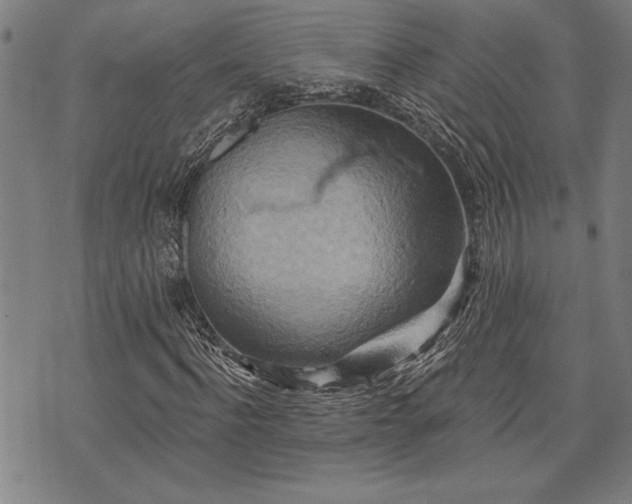 X0000075830916200609221636