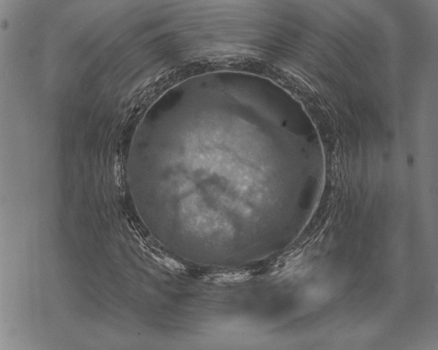 X0000075830917200609221636