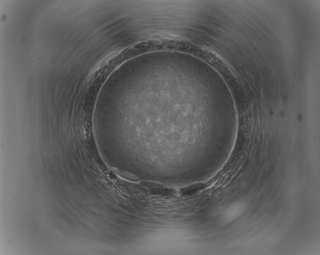 X0000075830919200609221636