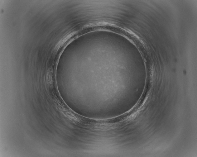 X0000075830921200609221636