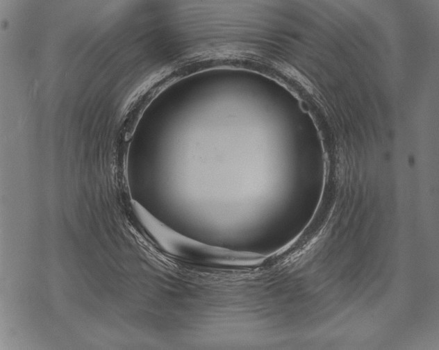 X0000075830922200609221636