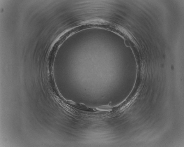 X0000075830923200609221636