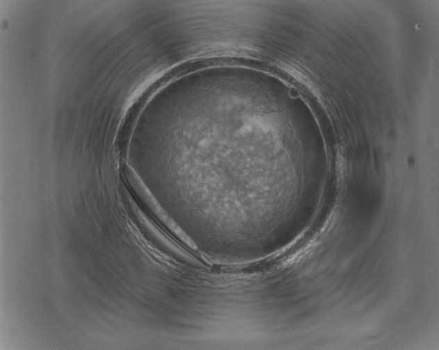 X0000075830925200609221636