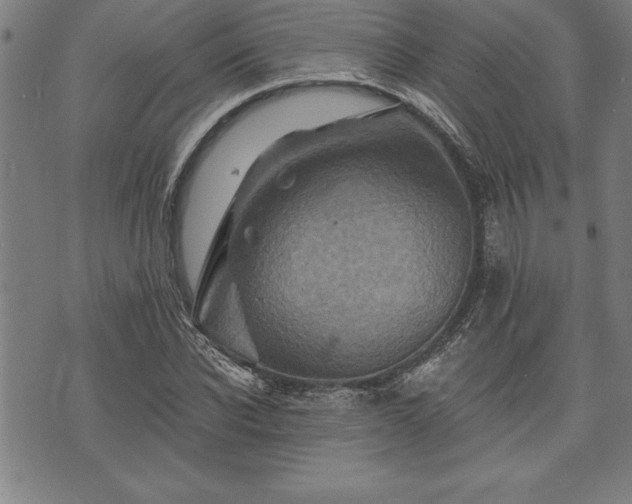 X0000075830926200609221636